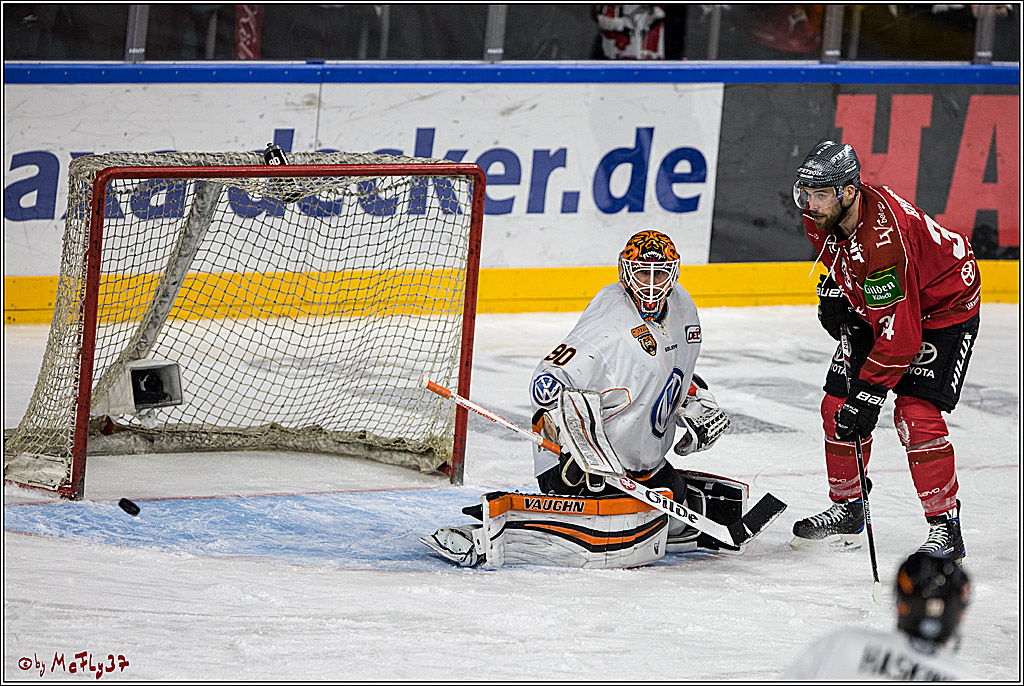 DEL, Koelner Haie - Grizzlys Wolfsburg, 21.03.2017